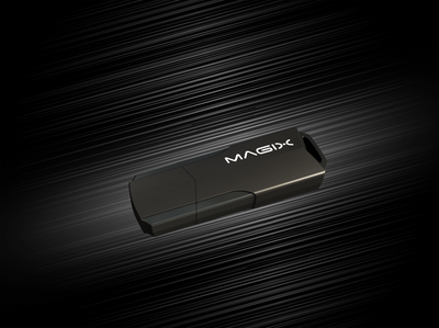 MAGIX BlackBird USB Flash 3.2 Gen. 2.1